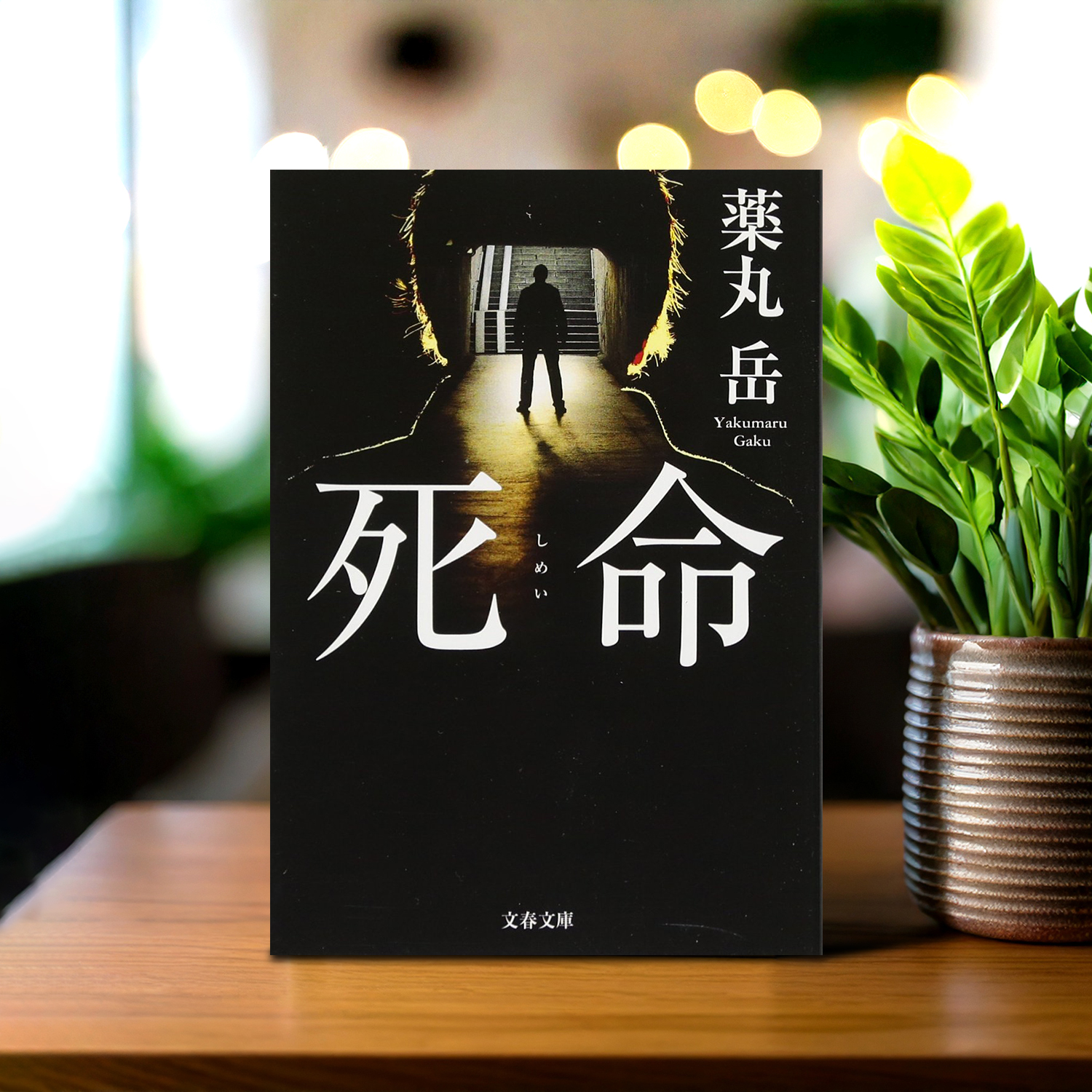 薬丸岳 著「死命」